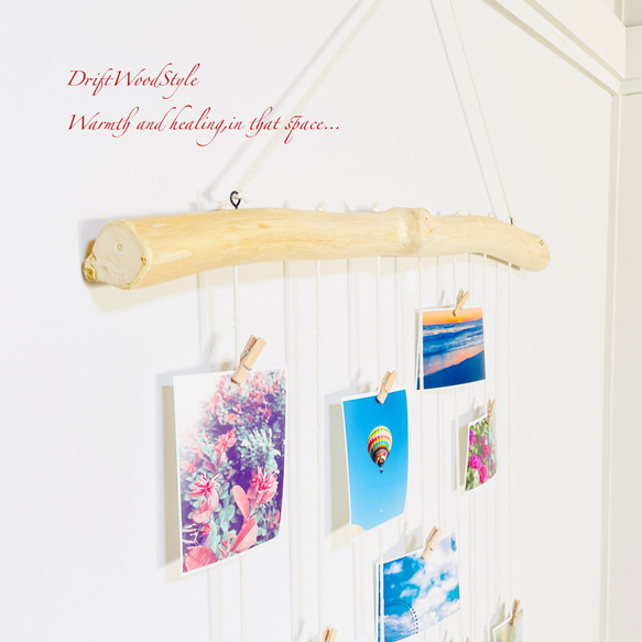 流木インテリア 壁一面に写真を飾れる大サイズのフォトディスプレイ 流木 写真ハンガー ウォールデコ 壁掛け N17 4枚目の画像