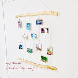 流木インテリア 壁一面に写真を飾れる大サイズのフォトディスプレイ 流木 写真ハンガー ウォールデコ 壁掛け N17 3枚目の画像