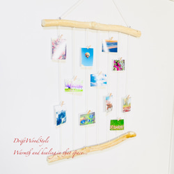 流木インテリア 壁一面に写真を飾れる大サイズのフォトディスプレイ 流木 写真ハンガー ウォールデコ 壁掛け N17 2枚目の画像