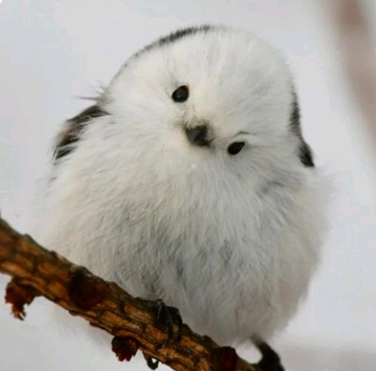 yuki様専用 9,012円