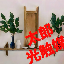 光触媒 人工観葉植物 ウォールグリーン フェイクグリーン