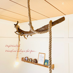 芸術的な造形の天然流木のペンダントライト 天井照明 シーリングライト LED 照明器具 N3 6枚目の画像