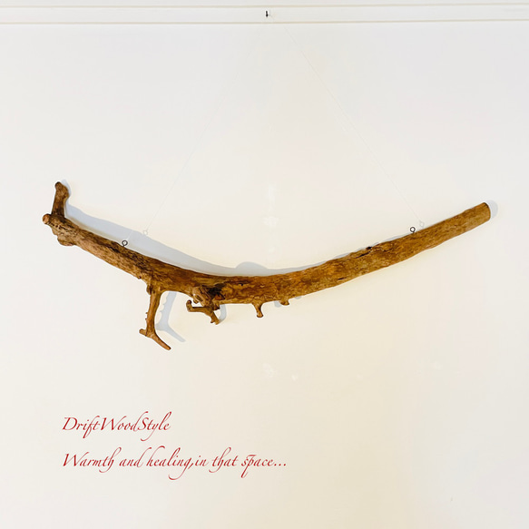 芸術的な造形の天然流木のペンダントライト 天井照明 シーリングライト LED 照明器具 N3 16枚目の画像