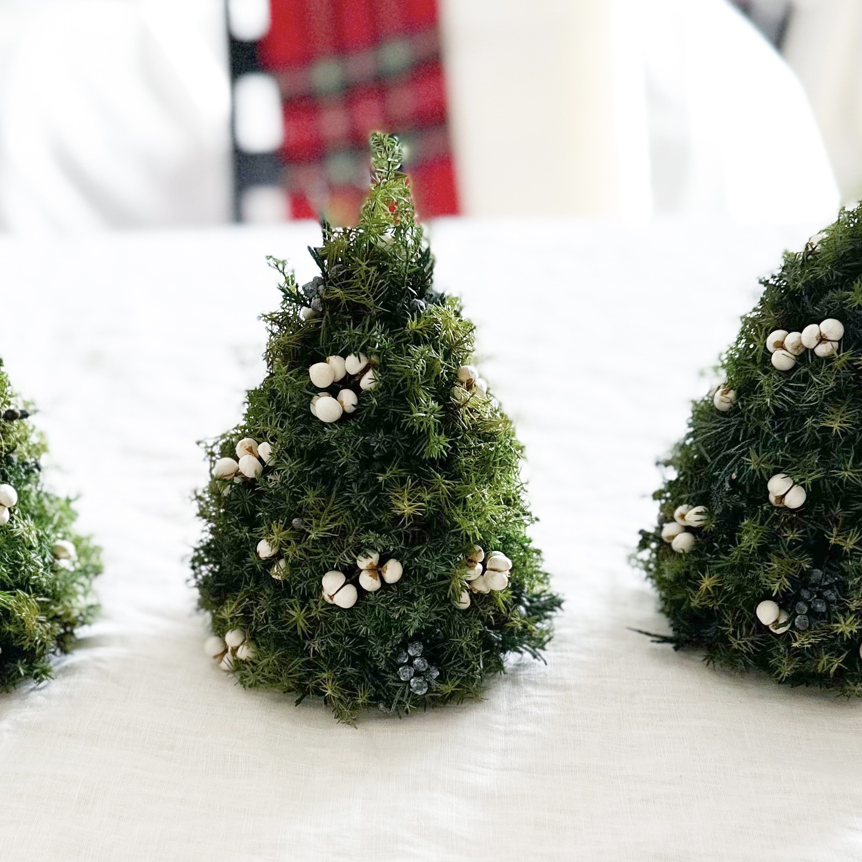 小さな森のクリスマスツリー ～プリザーブドフラワー テーブルツリー