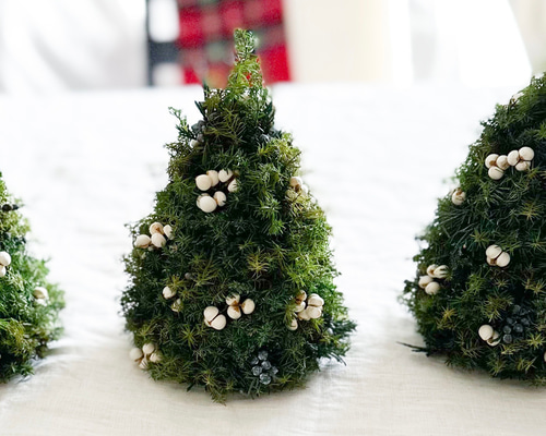 ミニツリーのフライングリース　（プリザーブド） ミニツリーのフライングリース （プリザーブド） ドライフラワー ミニ