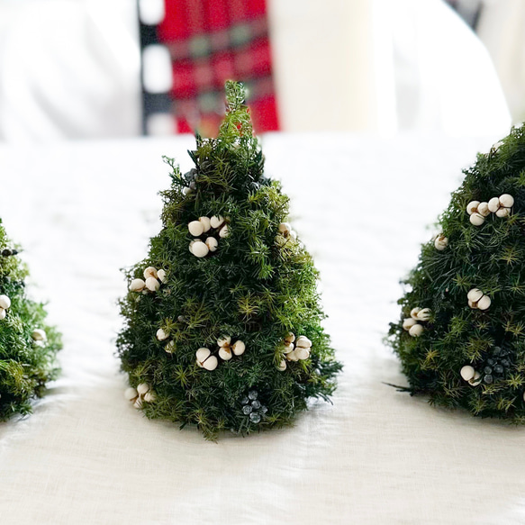 早割＊小さな森のクリスマスツリー ～プリザーブドフラワー