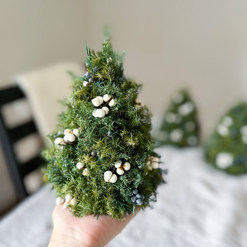 小さな森のクリスマスツリー ～プリザーブドフラワー テーブルツリー