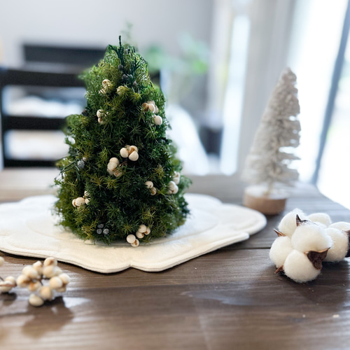 小さな森のクリスマスツリー ～プリザーブドフラワー テーブルツリー