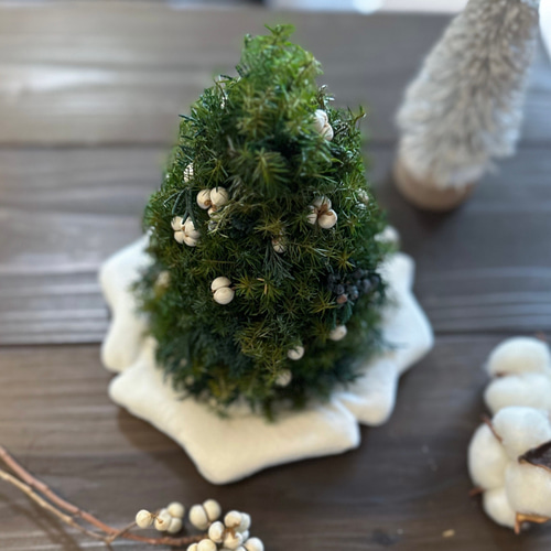 小さな森のクリスマスツリー ～プリザーブドフラワー テーブルツリー