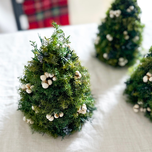 小さな森のクリスマスツリー ～プリザーブドフラワー テーブルツリー