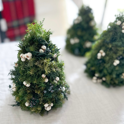 小さな森のクリスマスツリー ～プリザーブドフラワー テーブルツリー