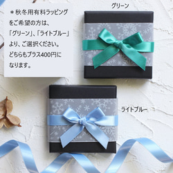 ＊キラキラ銀色に輝く雪の結晶のピアス（イヤリングに変更可）＊サージカルステンレス 12枚目の画像