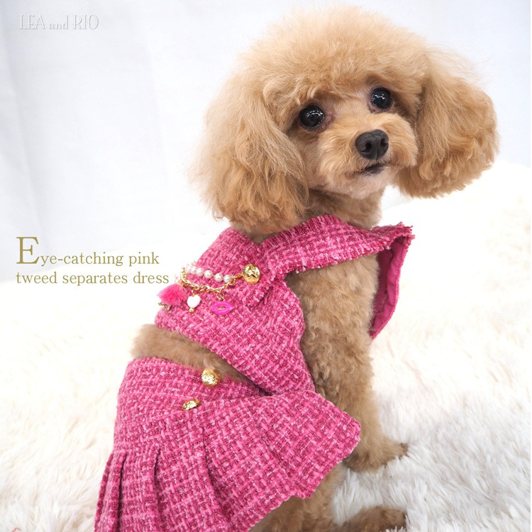 ワンピース 上下分かれて見える セパレート 冬 ドレス ツイード 小型犬用 犬服 猫服 犬 猫 ペット P751