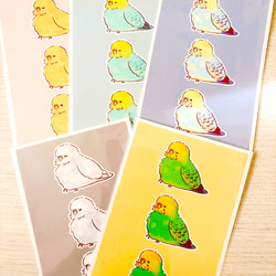 セキセイインコ あみぐるみ ① あみぐるみ mipi 通販 19889022｜Creema