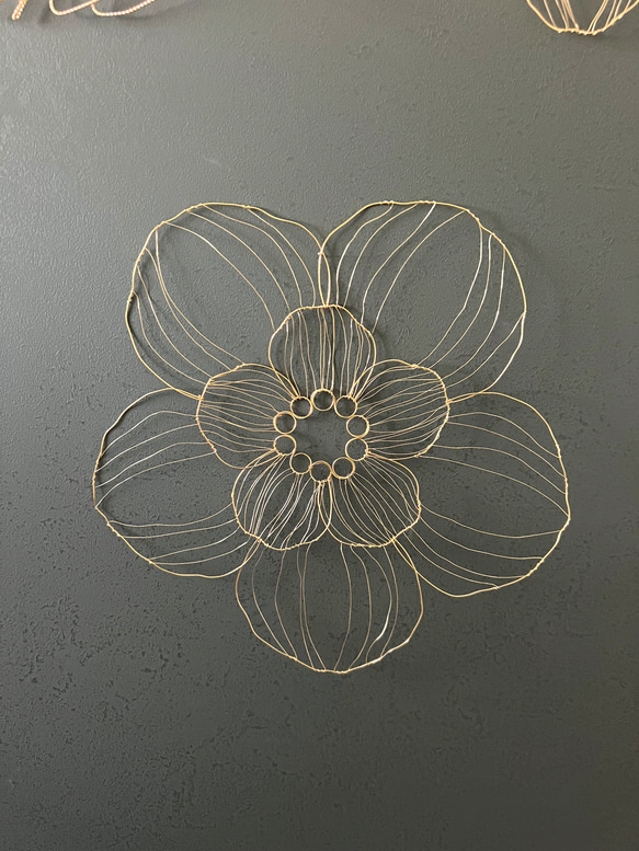 まゆさま　専用ページ 2枚目の画像