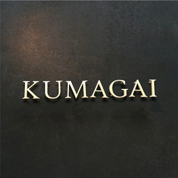 ★15％OFF 先着限定★表札 ステンレス 英数字 ナンバー 店舗看板DIY 戸建て 切り文字 おしゃれ k013 2枚目の画像