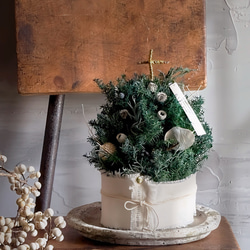 森の教会みたいな Forest Tree  保存可 1枚目の画像