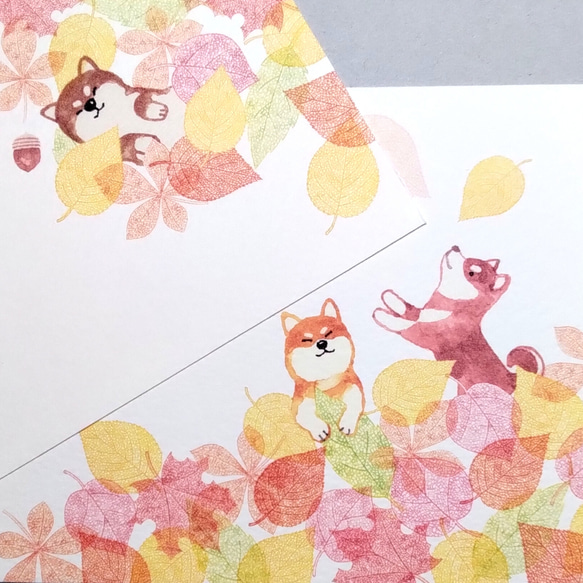落ち葉と遊ぶ日。ポストカード 4枚目の画像