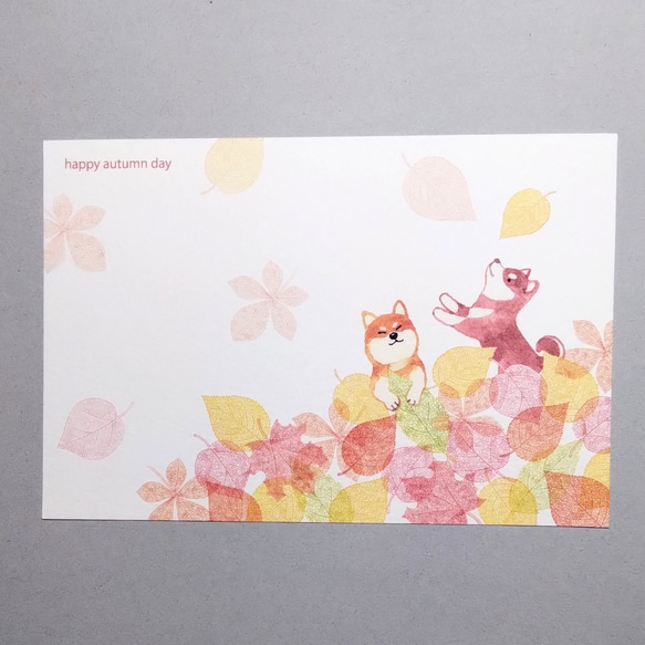 落ち葉と遊ぶ日。ポストカード 3枚目の画像