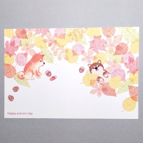 落ち葉と遊ぶ日。ポストカード 2枚目の画像