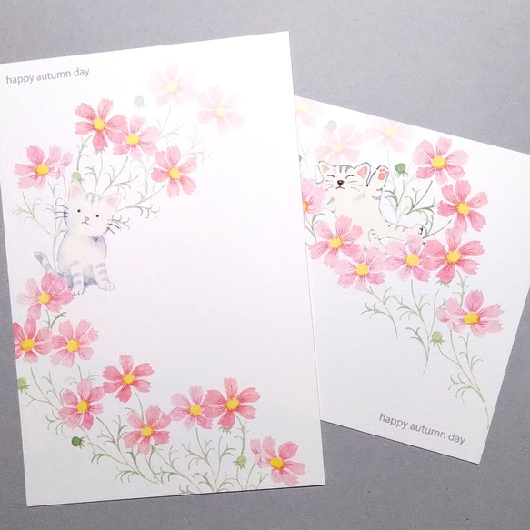 秋桜ゆれる日。ポストカード 1枚目の画像