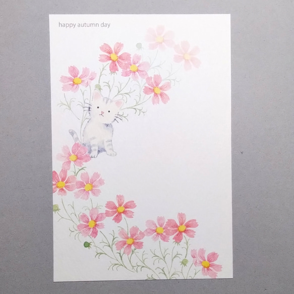 秋桜ゆれる日。ポストカード 2枚目の画像