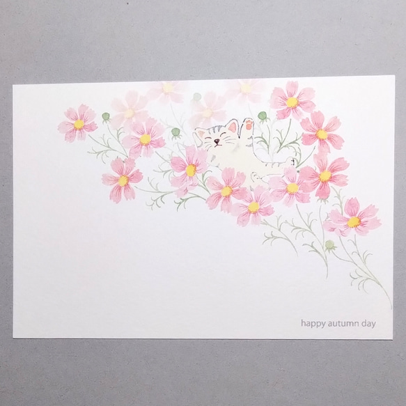 秋桜ゆれる日。ポストカード 3枚目の画像