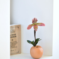 再販 人気 青りんご メモスタンド▫️フェイクグリーン・フェイク多肉植物 アレンジ タニクグリーンアップル！？ 青りんごと多肉植物 フェイク