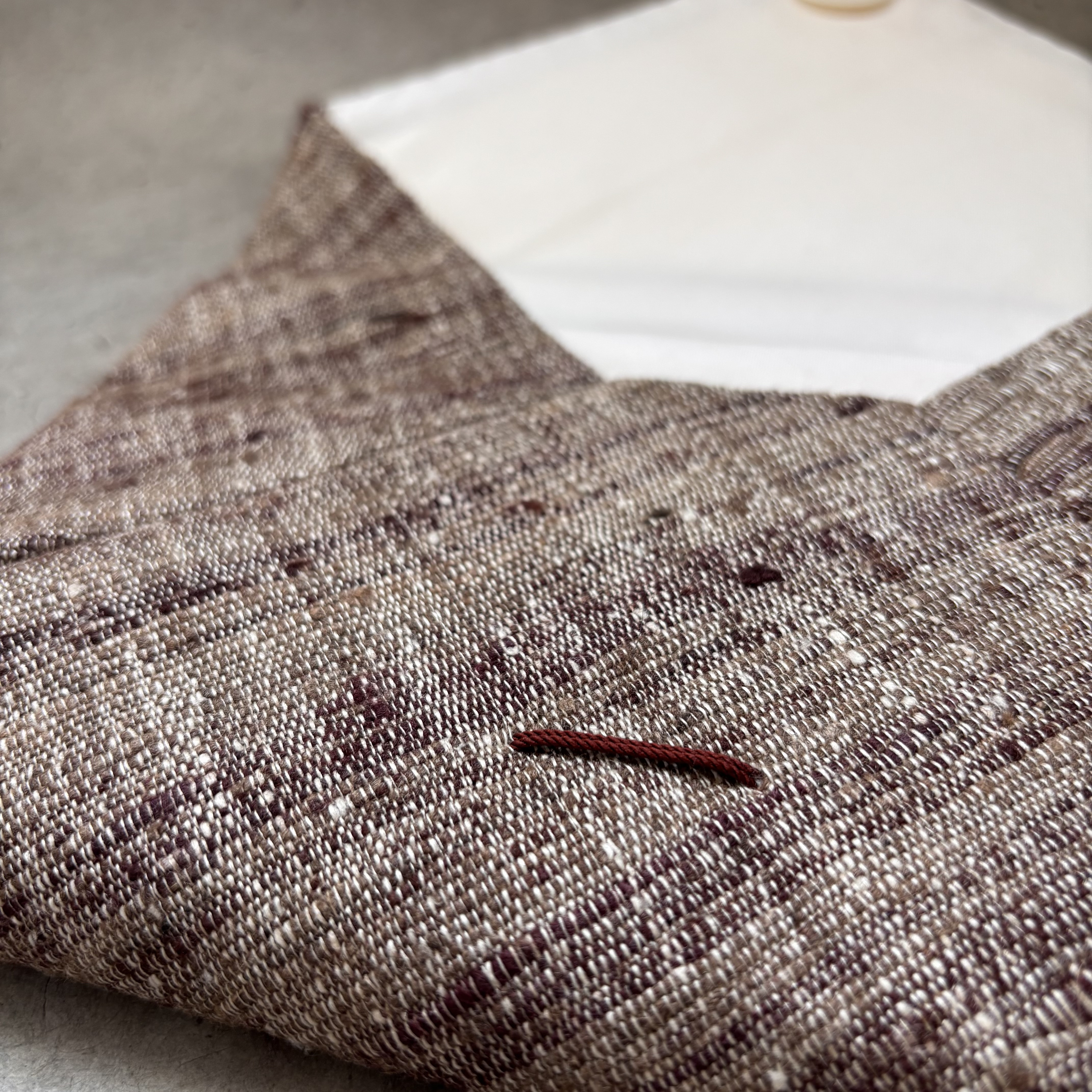 数奇屋袋　＊上品なタッサーシルク＊バックインバック＊個性的