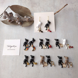 おしゃれ泥棒キャット 1枚目の画像