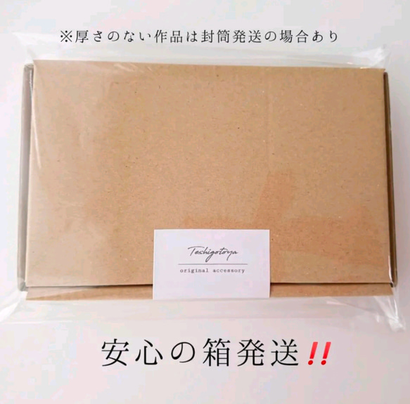 おしゃれ泥棒キャット 10枚目の画像