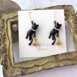 おしゃれ泥棒キャット 6枚目の画像