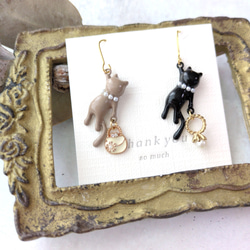 おしゃれ泥棒キャット 7枚目の画像