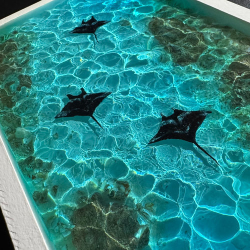 レジンアート オーシャンアート マンタ 沖縄 海 アートパネル 波紋