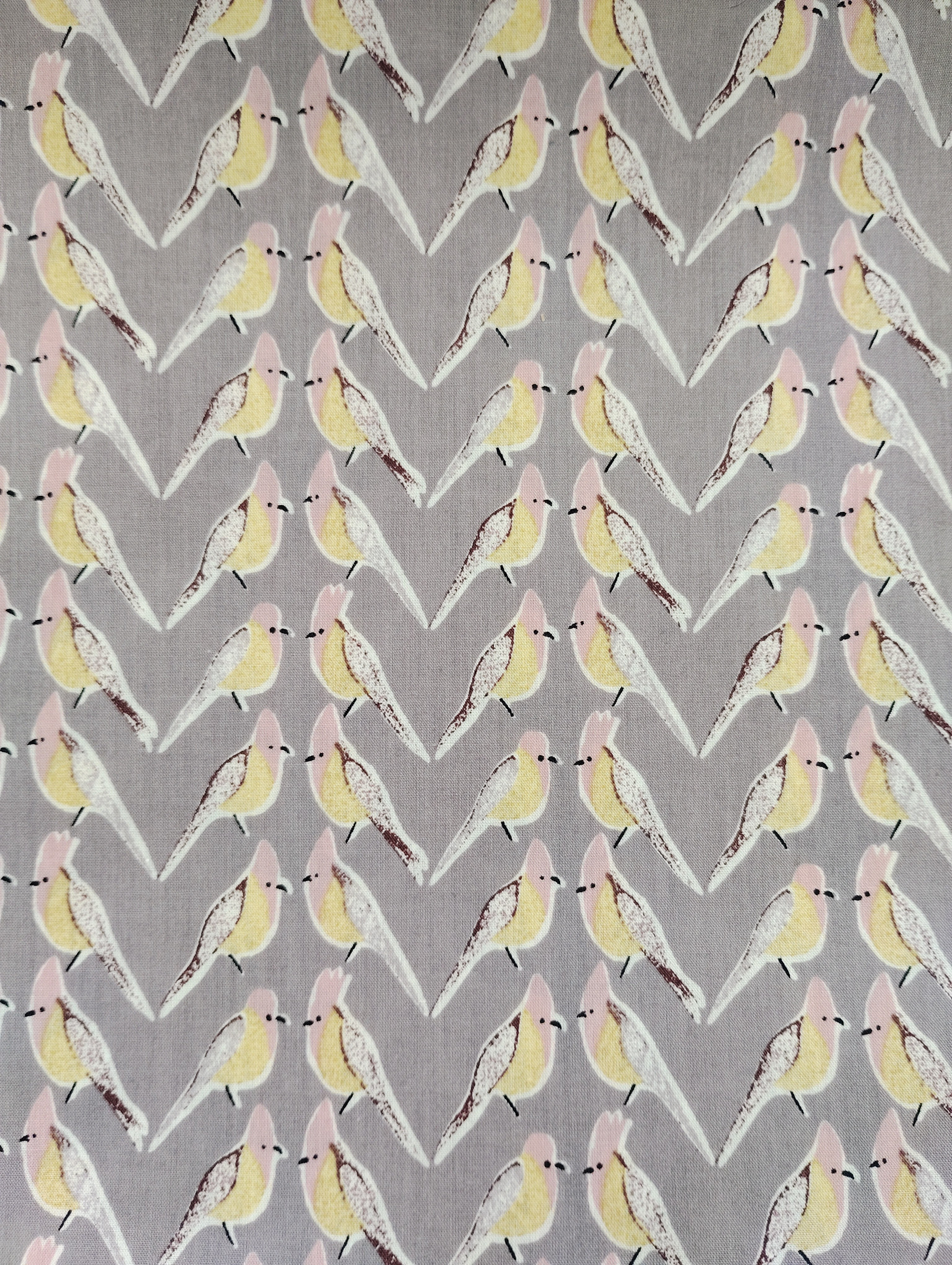 2点限定　リバティ☆  LIBERTY　ポーリーパロット　グレー系 ヨークブラウスSＭL