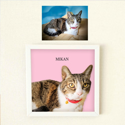 【フレーム付き】うちのこオーダーポスター ペットイラスト  うちの子グッズ ペットの肉球 犬猫の足形 ペット供養 8枚目の画像