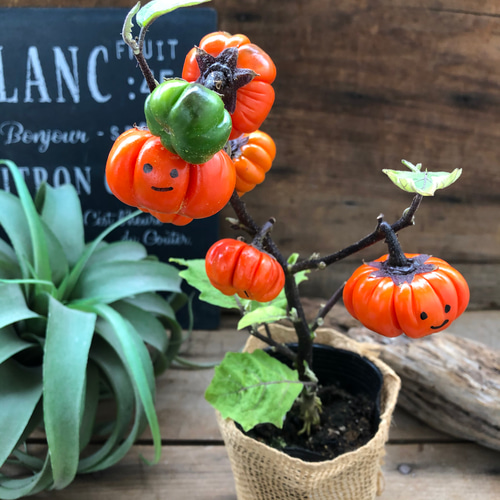 専用＊Halloween＊ソラナムパンプキン　ドライフラワータペストリー Halloween＊ソラナムパンプキン ドライフラワータペストリー スワッグ