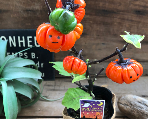 レジン＊パンプキン フラワー ヘアゴム⟡.·*.ハロウィン ✨ハロウィンデザインレジンヘアゴム✨パンプキン➁