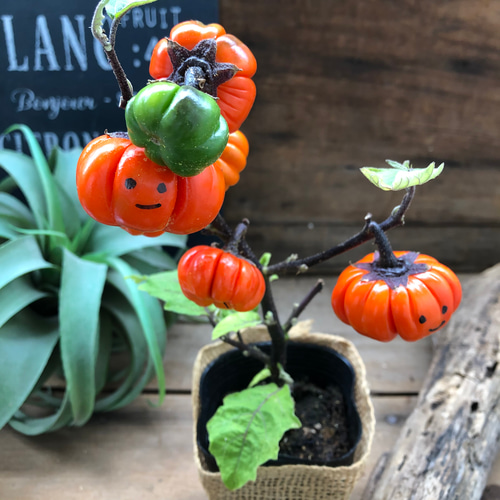 ソラナム パンプキン♡ハロウィンに♡早い者勝ち♡ アートフラワー
