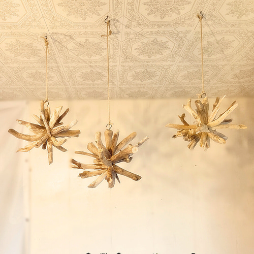 受注生産品 流木ハンギング KIRARA ｜ハンギンググリーン エアプランツ