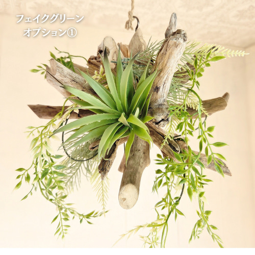 受注生産品 流木ハンギング KIRARA ｜ハンギンググリーン エアプランツ