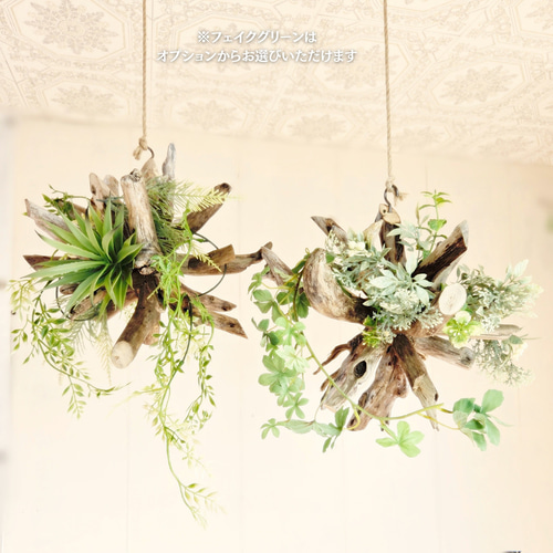 受注生産品 流木ハンギング KIRARA ｜ハンギンググリーン エアプランツ