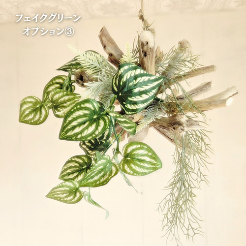 受注生産品 流木ハンギング KIRARA ｜ハンギンググリーン エアプランツ