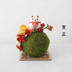 【Creema限定・猫の日2026】招き猫の苔玉梅の小道 1枚目の画像