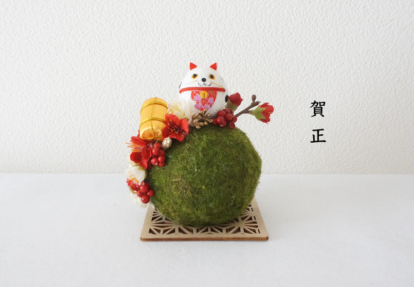 【Creema限定・猫の日2026】招き猫の苔玉梅の小道 1枚目の画像