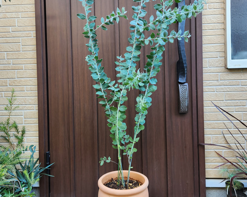 5d926c30a87e082b98c7c0510ac5f4