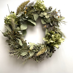 ポポラスと数種類の針葉樹をシックに紡いだ　落ち着いた雰囲気の　クリスマス　リース ポポラスと数種類の針葉樹をシックに紡いだ 落ち着いた雰囲気の