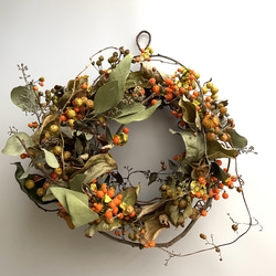 秋色紫陽花のドライフラワーリース リース Florist lugna 通販