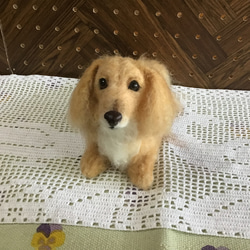 ミニチュアダックス（ピュアクリーム）お座りポーズ 羊毛フェルト