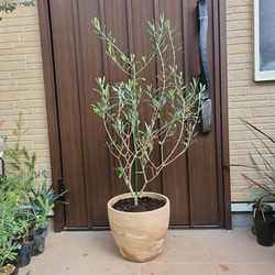 16edbdd9dc1ad6b4e40e22bb0db89d